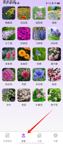 72d9471659e8e1557fbd32810af68ac.png