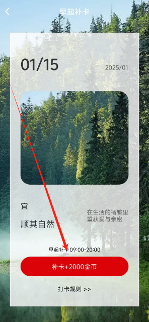 1736919819417.png