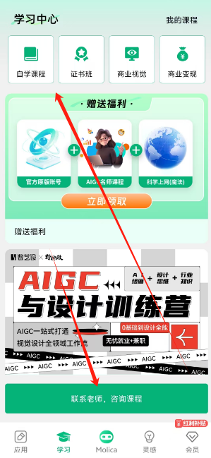1739242173384.png