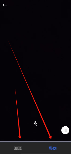 1739760292424.png