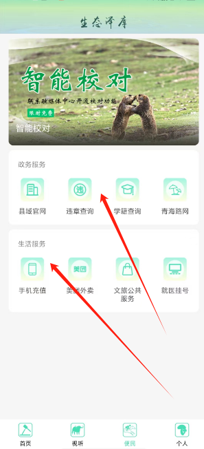 1739940103259.png