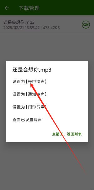 1740116533607.png