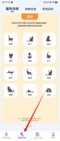 0e1a22aa5fbfeff433a3d3a0a4c82e5.png