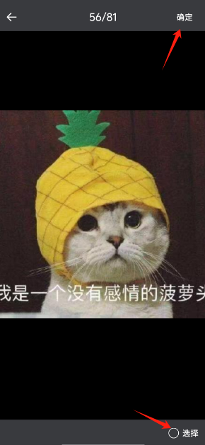 222f0bd5b57bc44fc73ec93478d3f1d3.png
