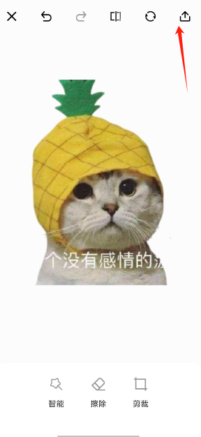 cf35084fa7aca1c64d567aa632607444.png