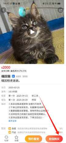 b8effb36b8901b93c8019829983be41.png