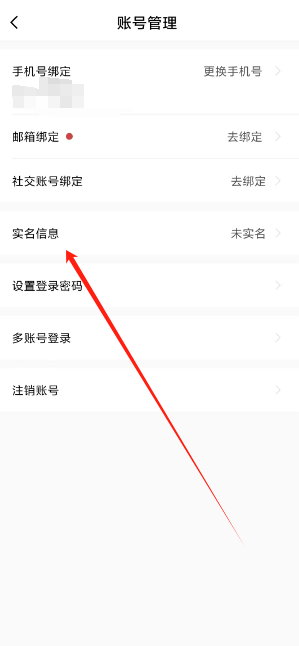 1745724700246.png