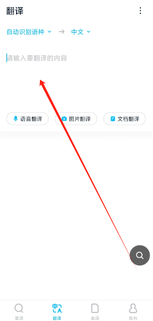 1746589024696.png