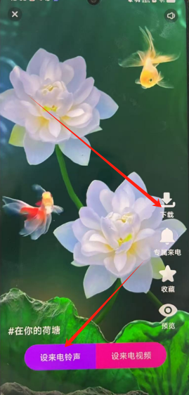 1749009999818.png