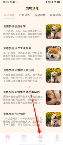 046e424c05e991b068e5bda482129ea.png