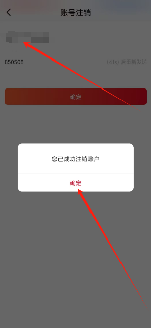 1750829439952.png