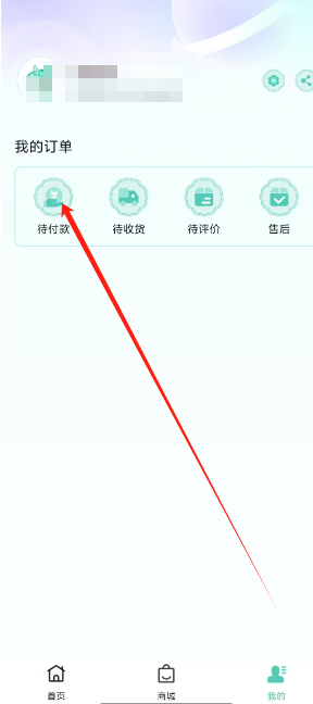 1751251867690.png