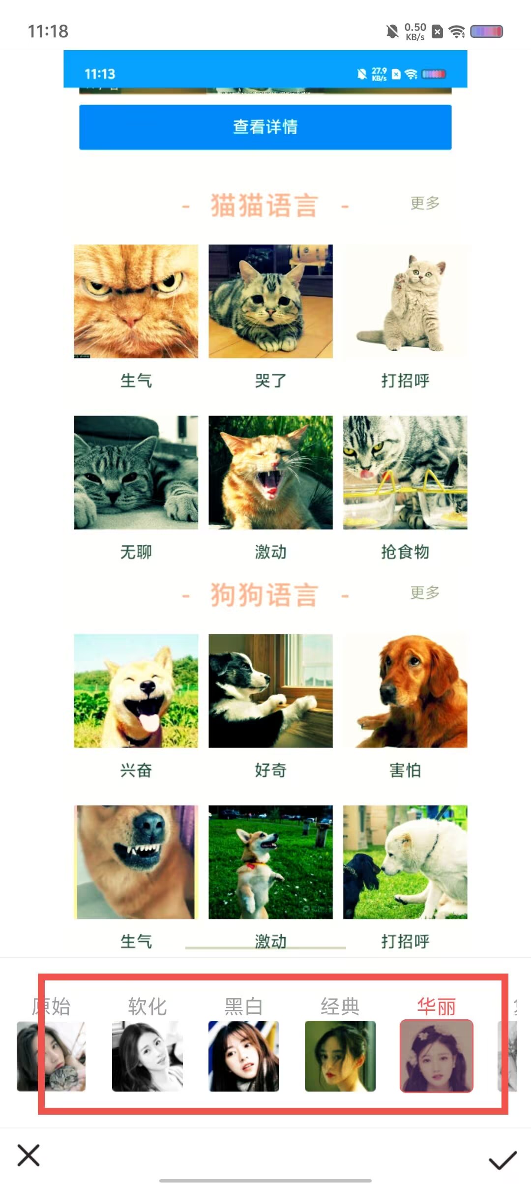 b3d855d984638696a0a5301695c73749.jpg