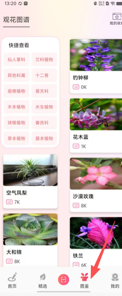 70ea48bb8c4e86690a3696081f53f645.png