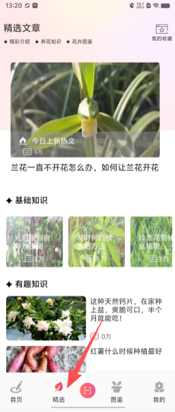 7035a5bfda63601359a813116c71feba.png