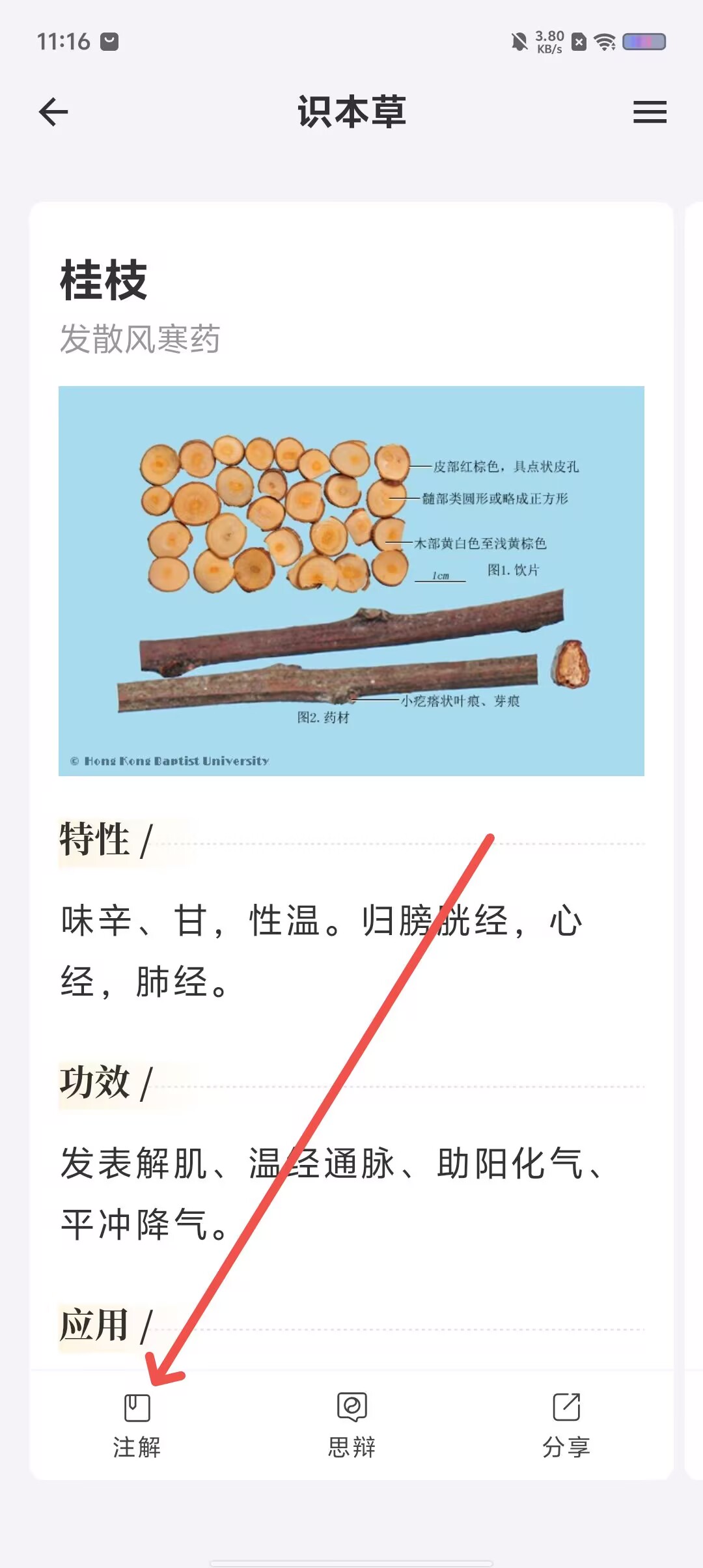 2ece69f354032d74c9c8a16310d40282.jpg