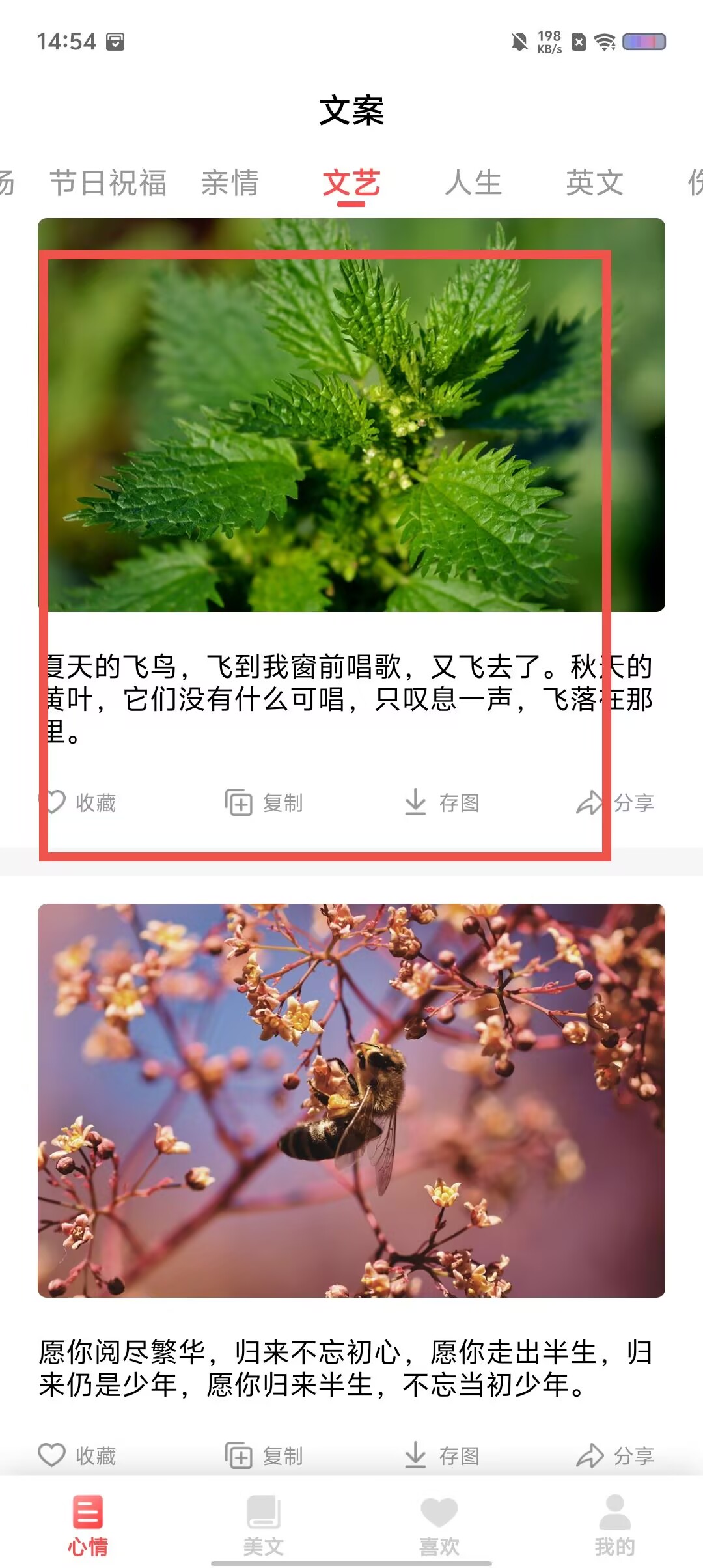 3334d4cb4bcea61d88c43f23f829d9be.jpg