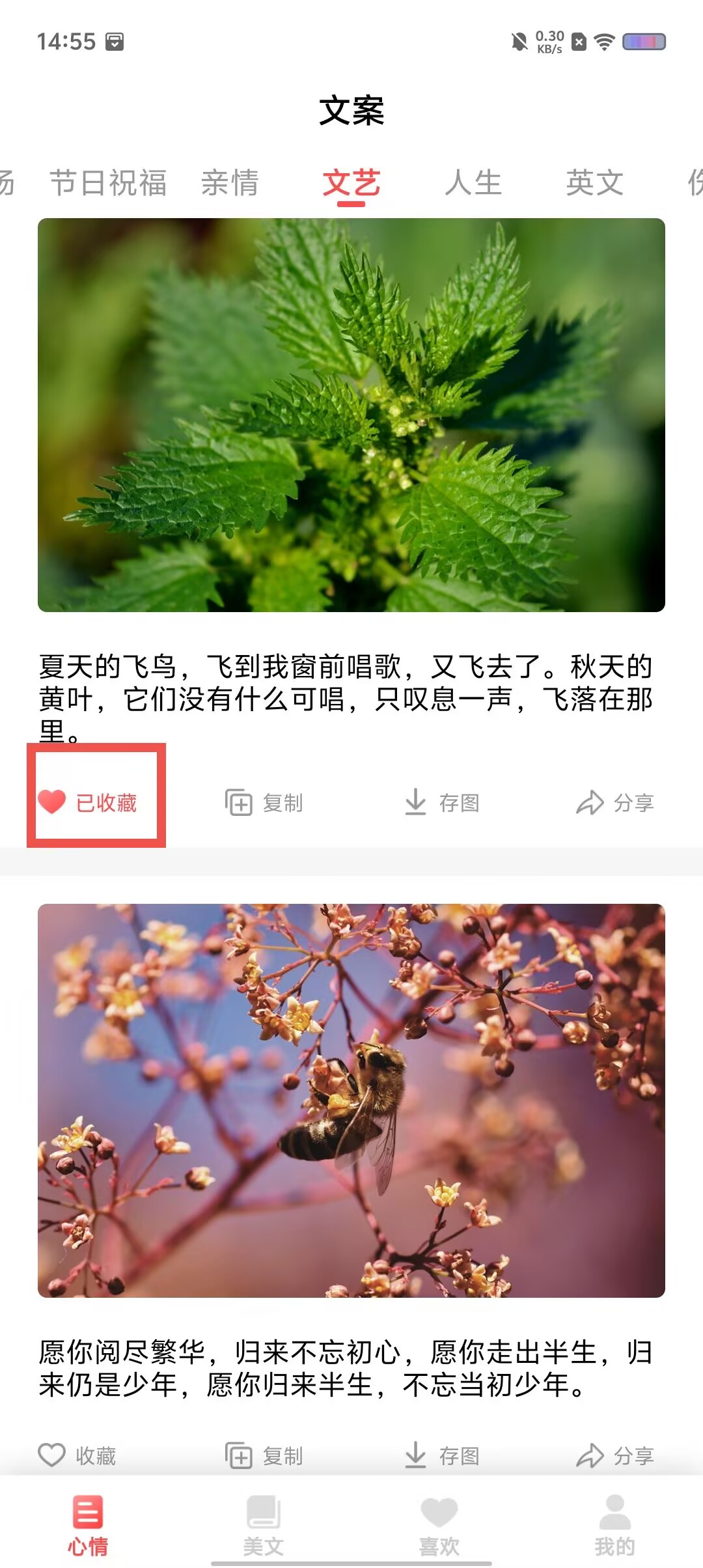 c404014b8ce15723f92b83c9a91c0b45.jpg