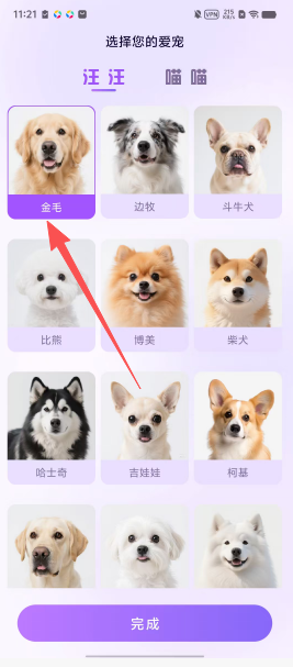 401e65fabf63ddb48f7c442a28552319.png