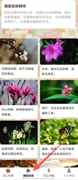 b66f69e1f6bdd3c8937e22781f235b69.png
