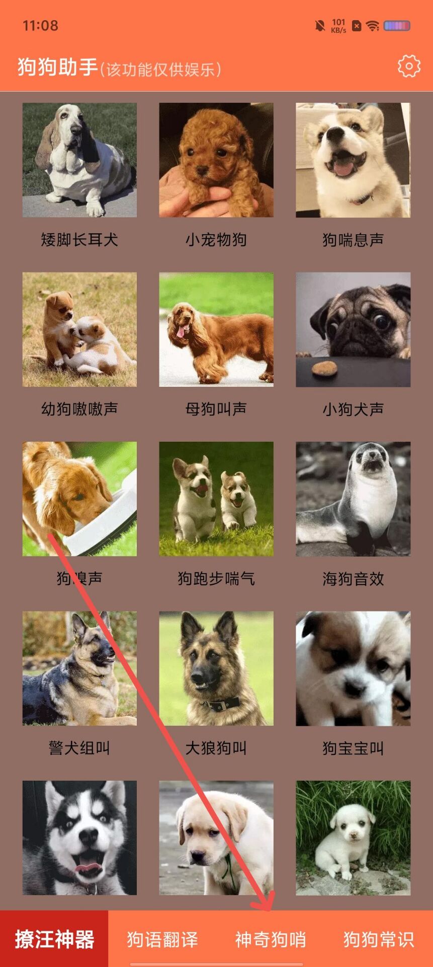c8a59b3977dee93583f42e17150c4901.jpg