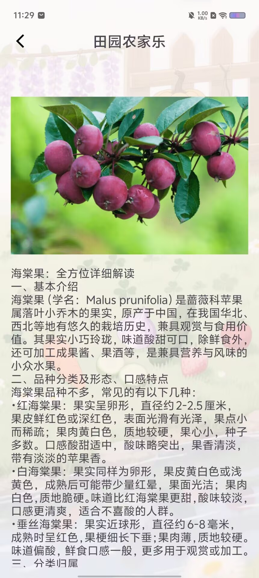 7a1de55969a01fcacb1b8cf801f794db.jpg