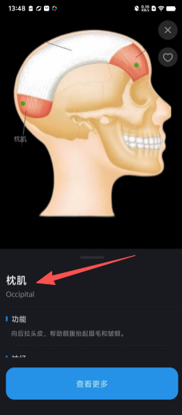 88e05e8bf338d003459b991dfd61be08.png