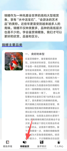 3926ecdd02b63c3b14fbe4c018cb233f.png