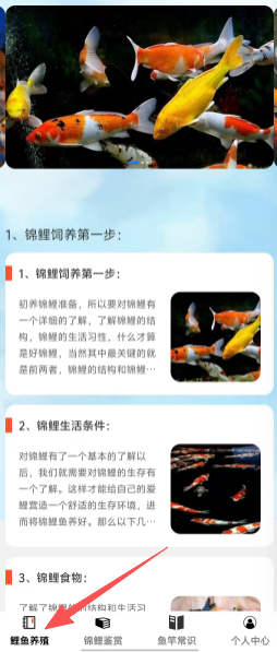 cabb3d90024214024fb395c9464c76b1.png