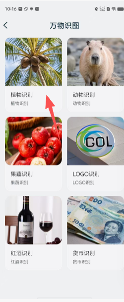 09a0366b87d18dc4acb0e2b51b951e7f.png