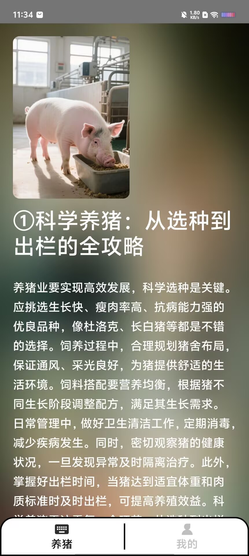 ee9caf2cd3685489966ed361f95836e0.jpg