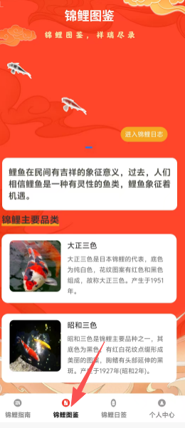 67ebb9dc96e0dd3a121395a01055010c.png