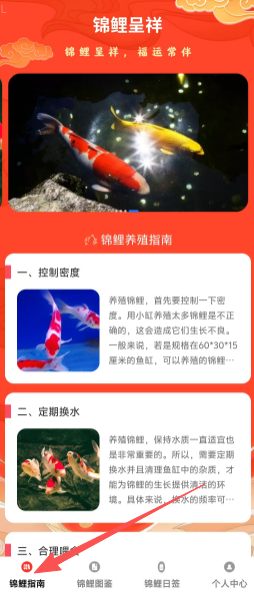 d10c9aa749bcc35849ddf6cebf5b80e9.png