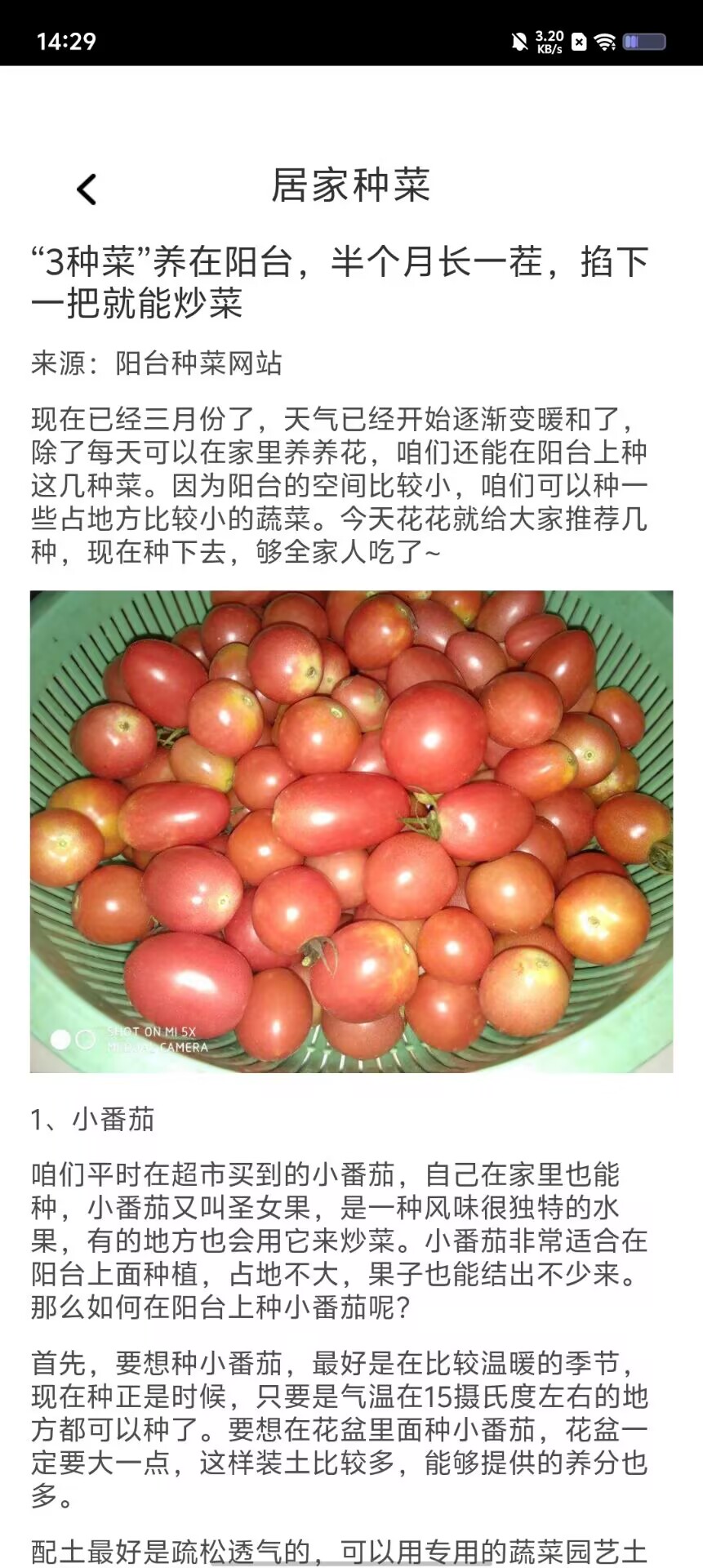 ad2f1894b84fc71c707ad08cebd85b4e.jpg