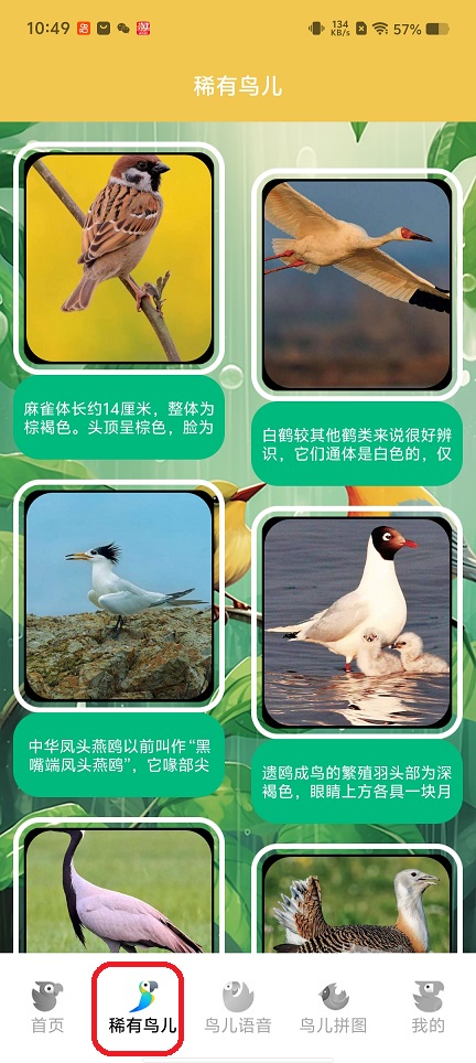 微信图片_20260225104930_17494_2.jpg