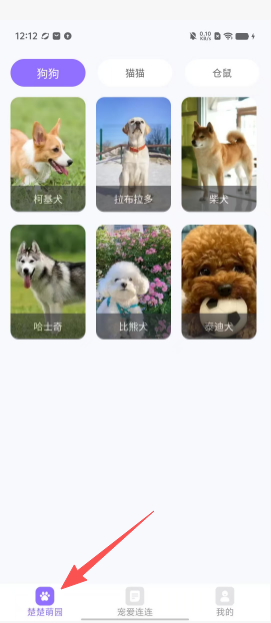 5fe3f1334fa08aa10f03043a612686e6.png