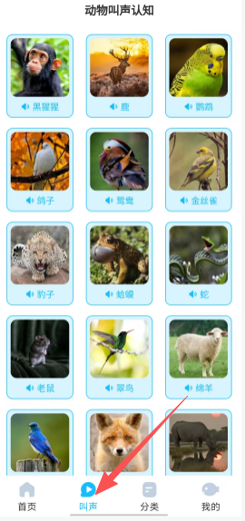 03b6b6a0b8ba4ab237d4d207d3e0c6ef.png