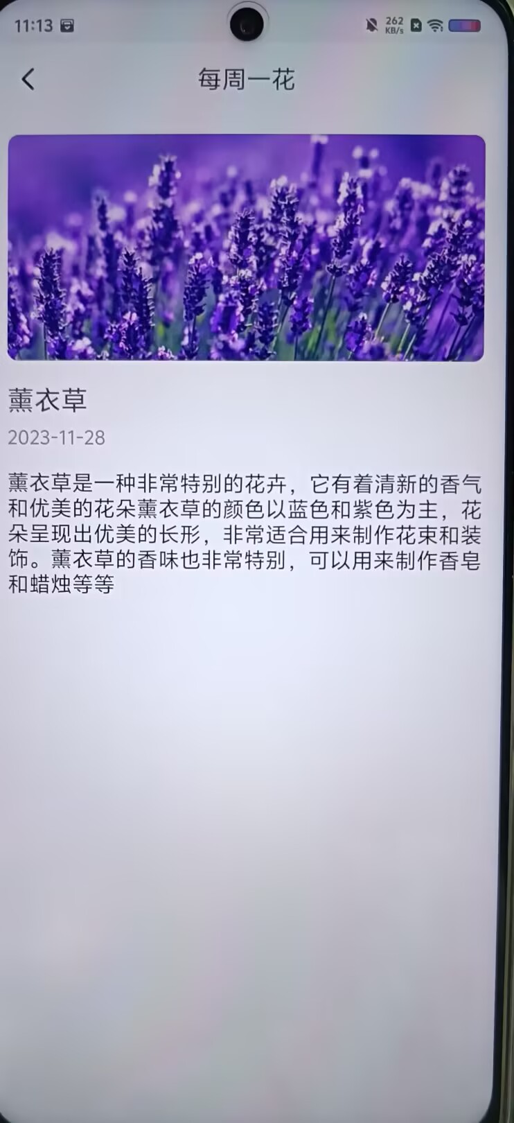 ddc32a933cfaee36f9ca790aa532bb0f.jpg