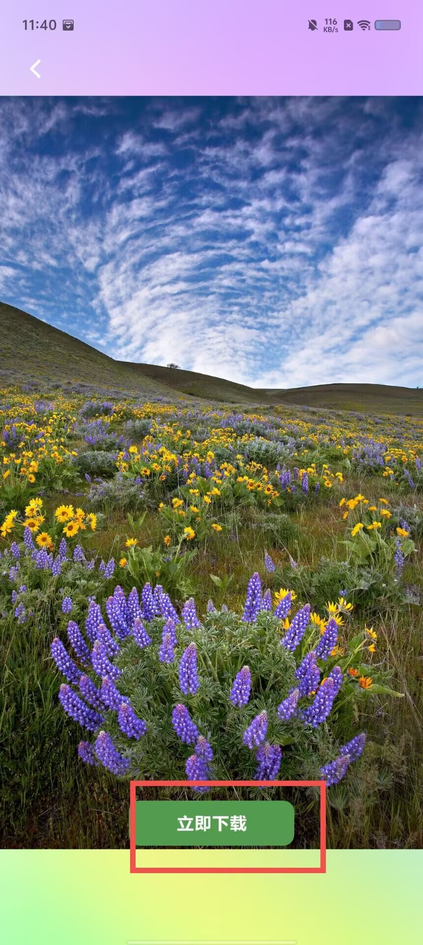 e7e696ecc6c68f5811626a485d33eab9.jpg