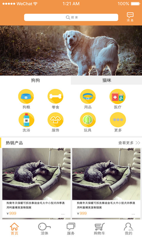宠爱_图片1