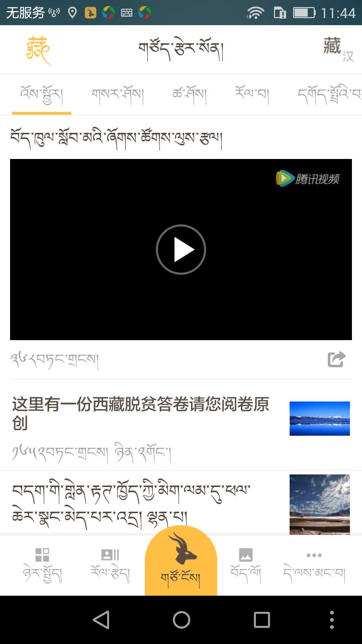 藏羚头条_图片1