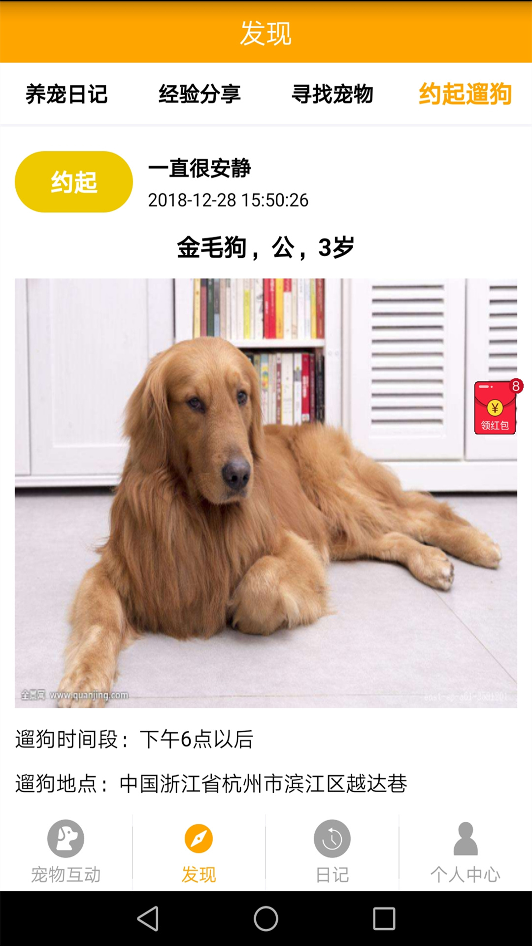 宠物日记_图片3