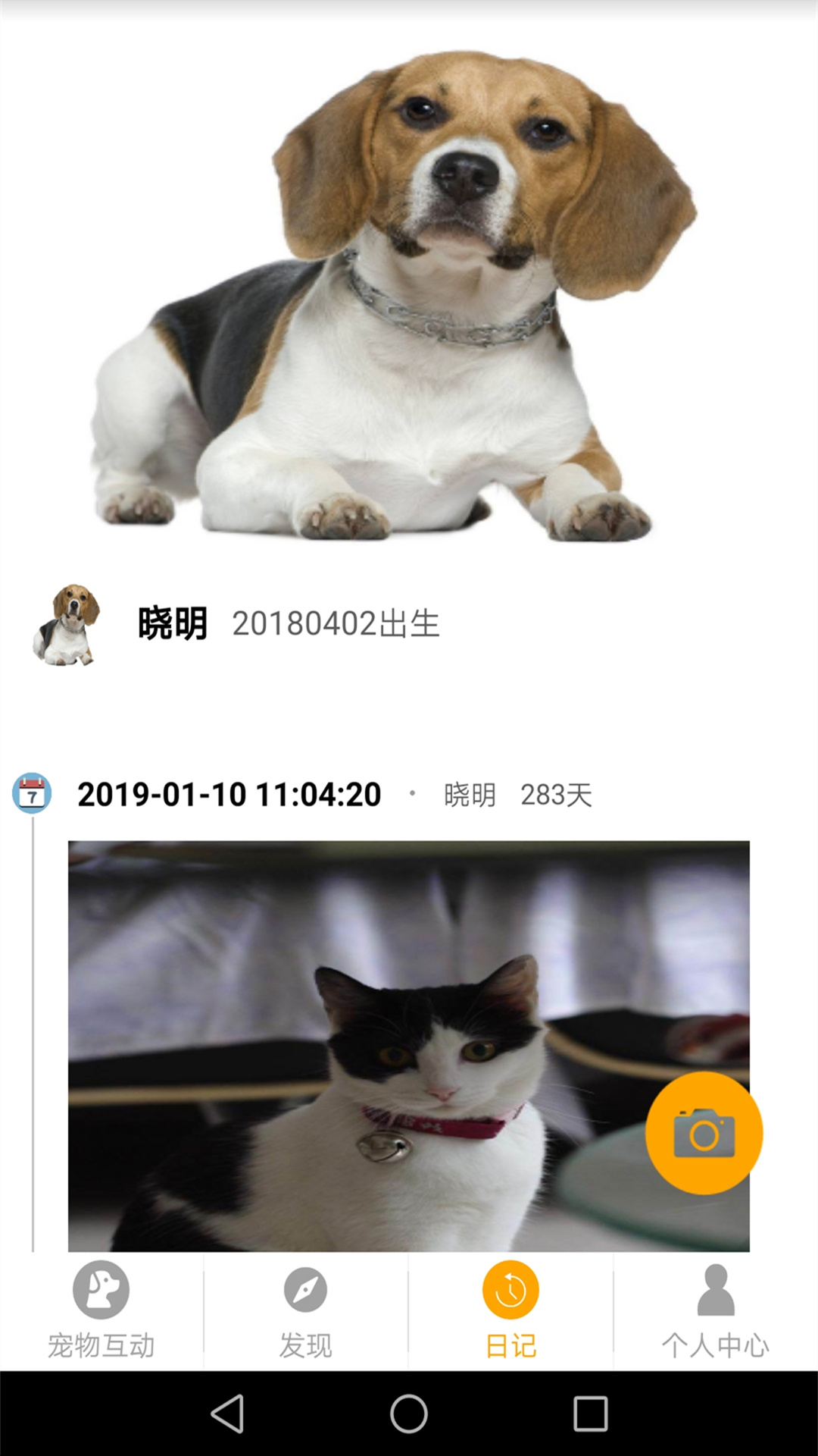 宠物日记_图片4