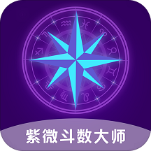 紫微斗数大师