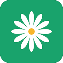 花帮主