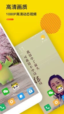 熊猫动态视频壁纸_图片2