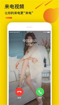 熊猫动态视频壁纸_图片3