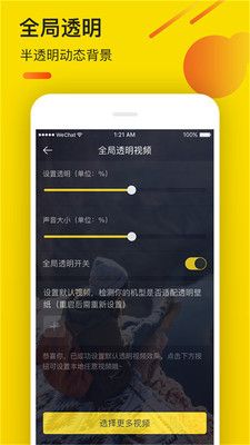 熊猫动态视频壁纸_图片4
