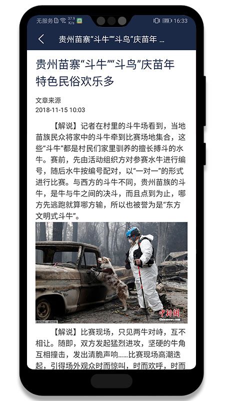 金钥匙_图片4