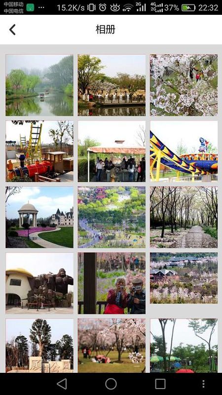 顾村公园_图片5